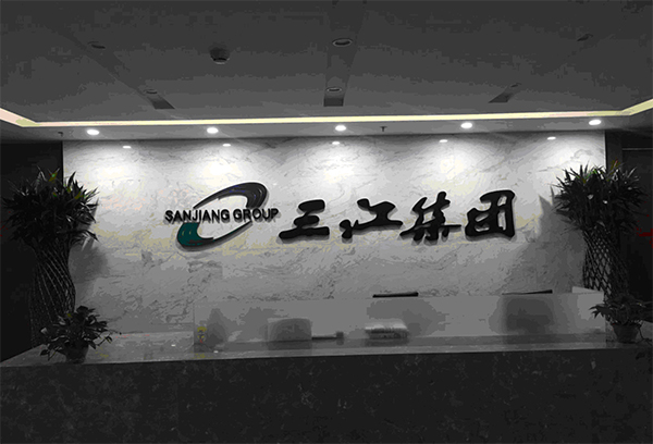 青海省三江集團(tuán)有限責(zé)任公司集團(tuán)財(cái)務(wù)管控項(xiàng)目(圖1)